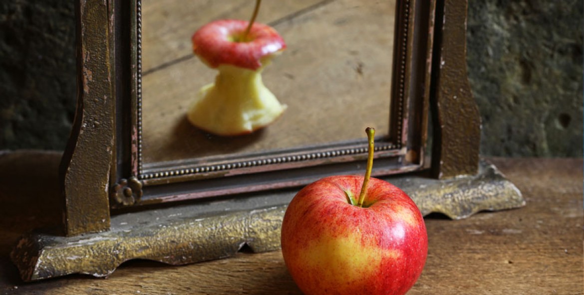 Mirror of Perception